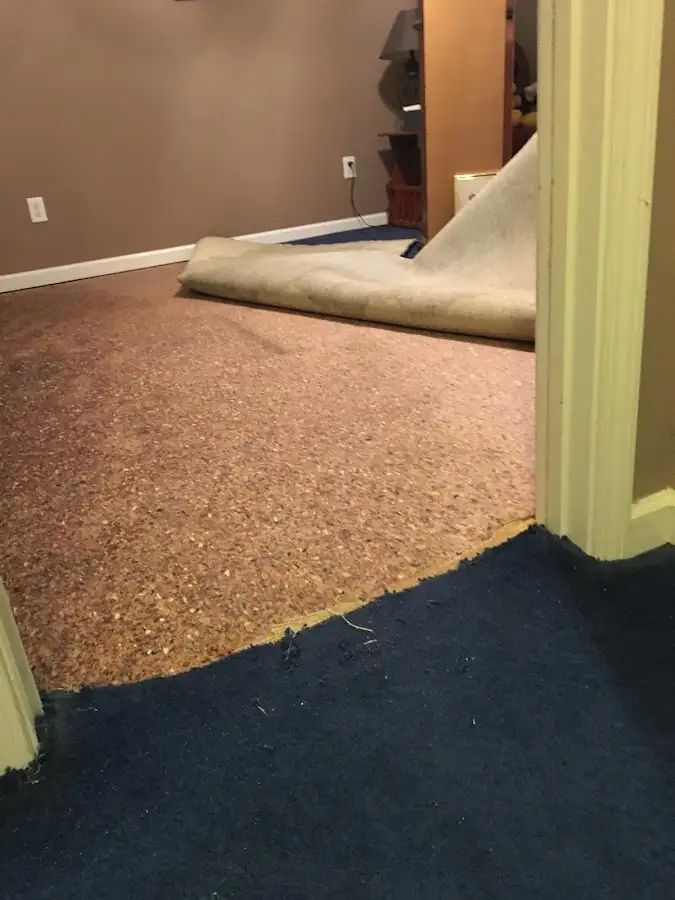 Carpet pad removal revealing water damage during Drying & Dehumidification in Deer Park