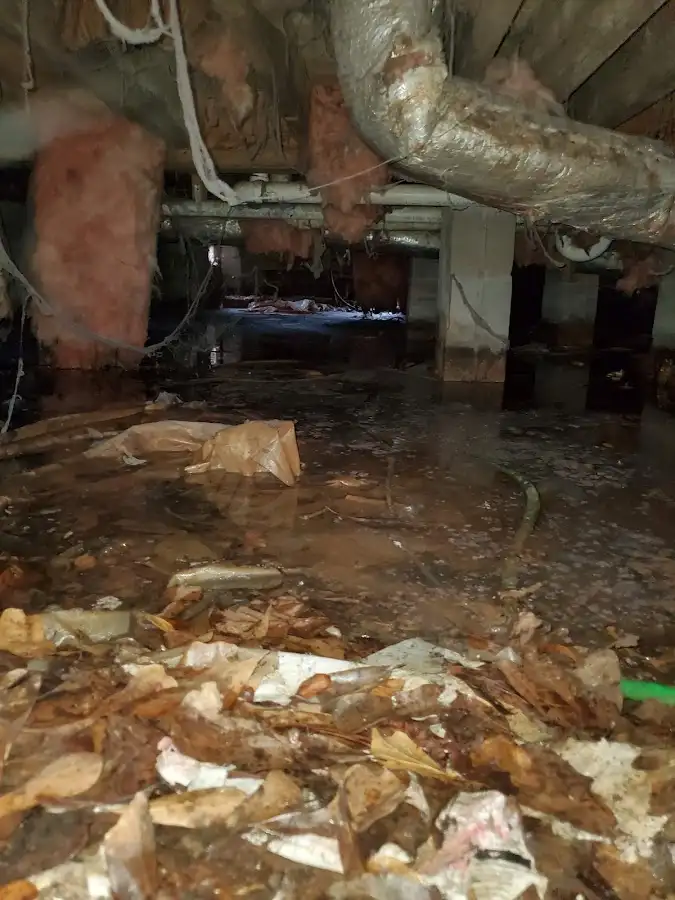 Crawl space flood assessment for Commercial Water Damage Restoration in Deer Park