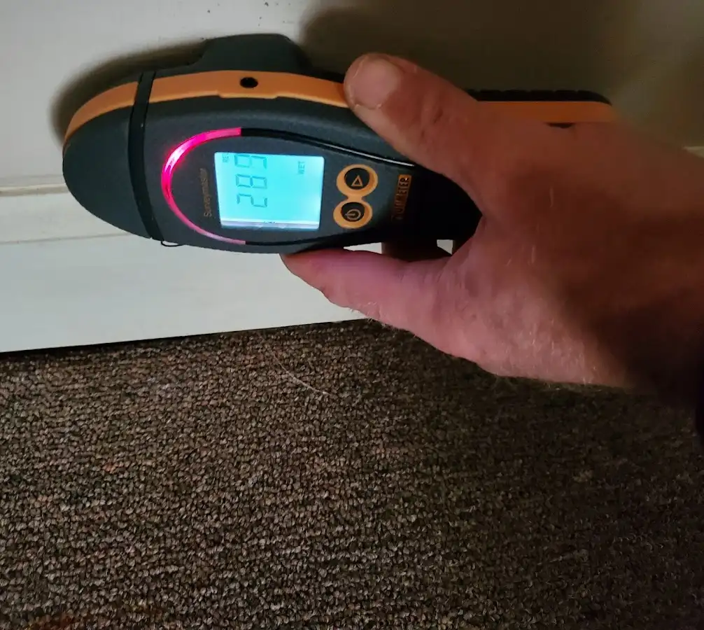 Moisture detection at baseboard during Burst Pipe Cleanup in Deer Park